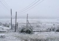 Снегопад прошел в Бурятии