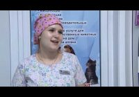 Ангарская государственная ветеринарная станция провела день открытых дверей