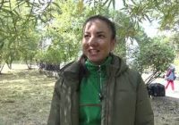 Без малого две сотни деревьев высадили на территории санатория-профилактория «Родник» работники Ангарской нефтехимической компании в минувшую субботу