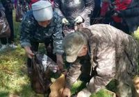 Всероссийскую акцию «Сохраним лес», которая состоялась недалеко от села Раздолье, поддержали представители ангарской полиции и волонтёры