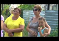 Дачная конституция