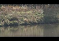 Осень вступила в свои права