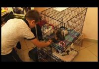 Подведены окончательные итоги традиционной ярмарки добрых дел