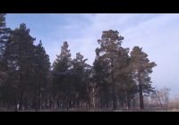 До ноля градусов может повыситься температура воздуха в Ангарске в ближайшие выходные