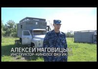 Нелёгкую службу они несут в тандеме