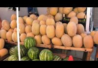 Специалисты Роспотребнадзора составили советы по выбору спелого арбуза
