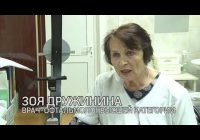 Зрить в корень проблемы