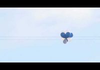 Последний раз сумма материнского капитала менялась четыре года назад