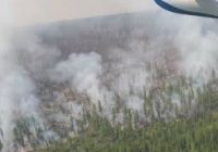 Режим чрезвычайной ситуации ввели в лесах Иркутской области