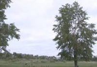 Похолодание ожидает ангарчан до конца этой недели