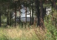 Необычное расследование провели журналисты информационного агентства «Бабр»