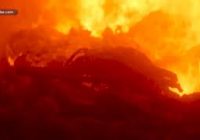 Об отдельных экологических проблемах округа