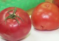 Семь случаев заражения овощей и фруктов выявил региональный Россельхознадзор за месяц