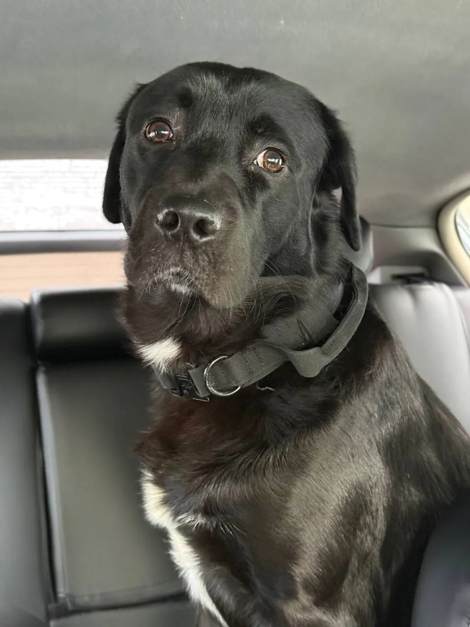 🖤 НАМ ПИШУТ 🖤