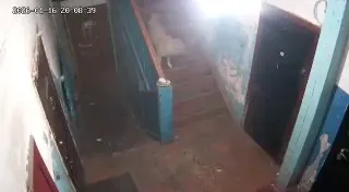 В одном из подъездов жилого дома в Ангарске произошел инцидент, который был зафиксирован камерами видеонаблюдения.