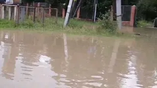 Угрозу подтопления заимки Якимовка в Ангарском округе оценят за четыреста тысяч рублей.