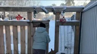 В благотворительном фонде «Право на жизнь» у хвостиков появился настоящий снежный городок.