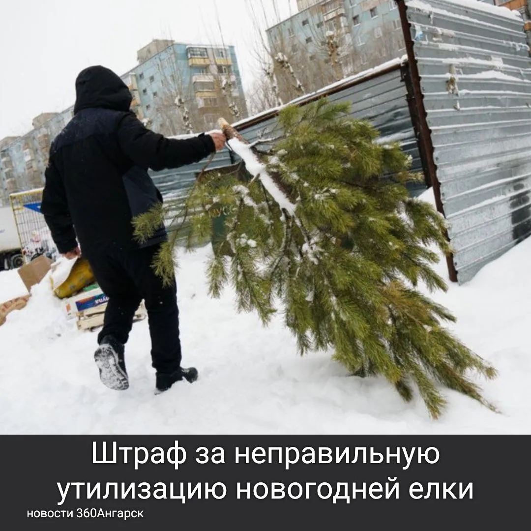 Штраф за неправильную утилизацию новогодней елки. После праздников важно помнить о правилах утилизации отходов.