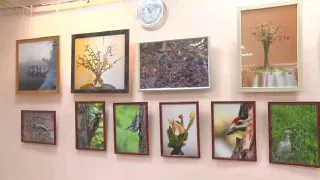 «Портрет Земли» – экспозиция с таким поэтичным названием работает в детской школе искусств №4.