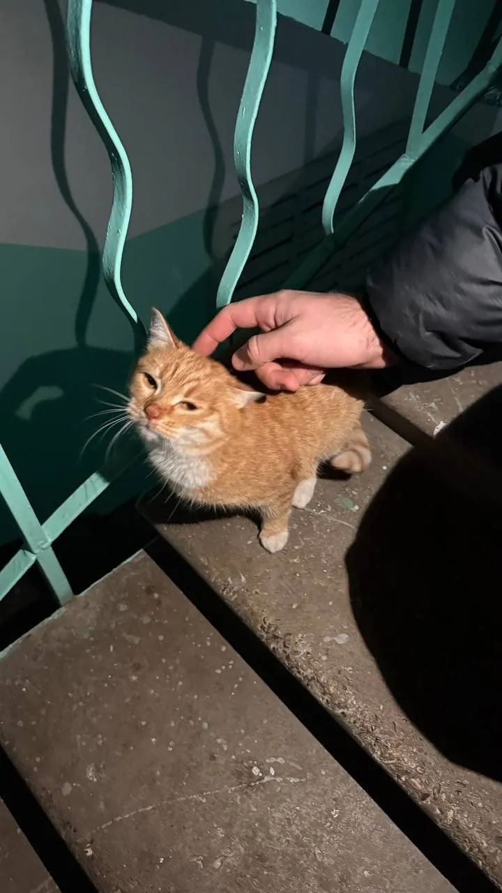 🖤 НАМ ПИШУТ 🖤