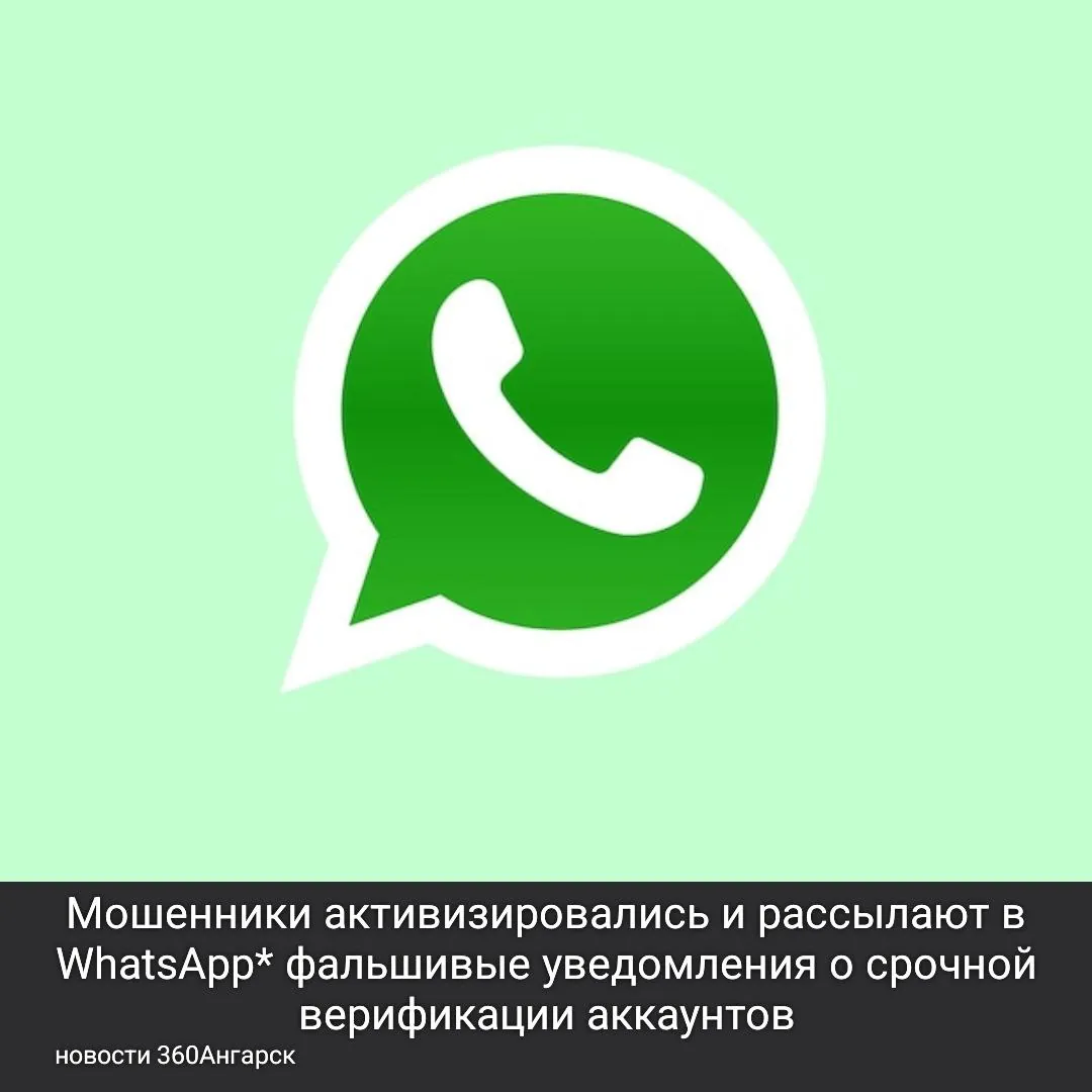 Мошенники активизировались и рассылают в WhatsApp* фальшивые уведомления о срочной верификации аккаунтов.