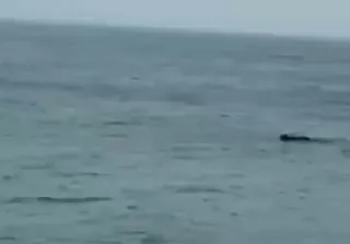 В Листвянке, 11 января спасатели получили сигнал о том, что 70-летний аквалангист оказался в сложной ситуации: сильный ветер унес его далеко от берега.