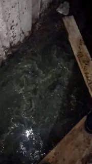 🔽 НАМ ПИШУТ 🔽