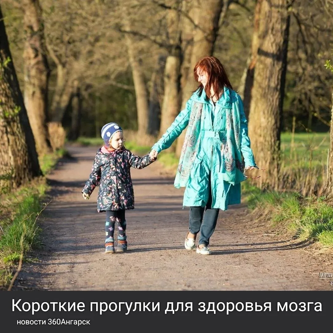 Недавнее исследование, проведенное в Центре памяти и старения при Институте нейронаук в США, показало, что даже небольшие 10-минутные прогулки средней интенсивности могут значительно помочь в поддержании здоровья мозга.