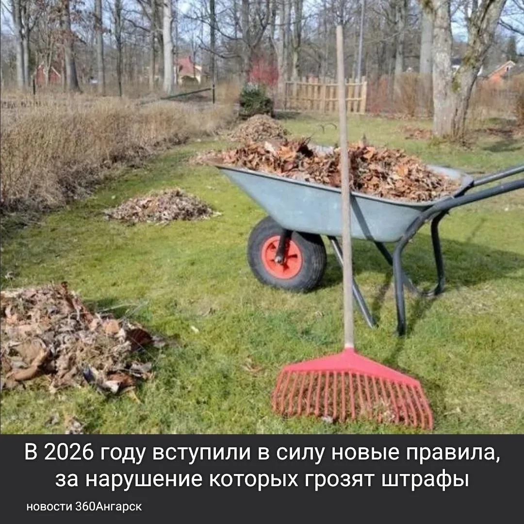 В 2026 году вступили в силу новые правила, за нарушение которых грозят штрафы.