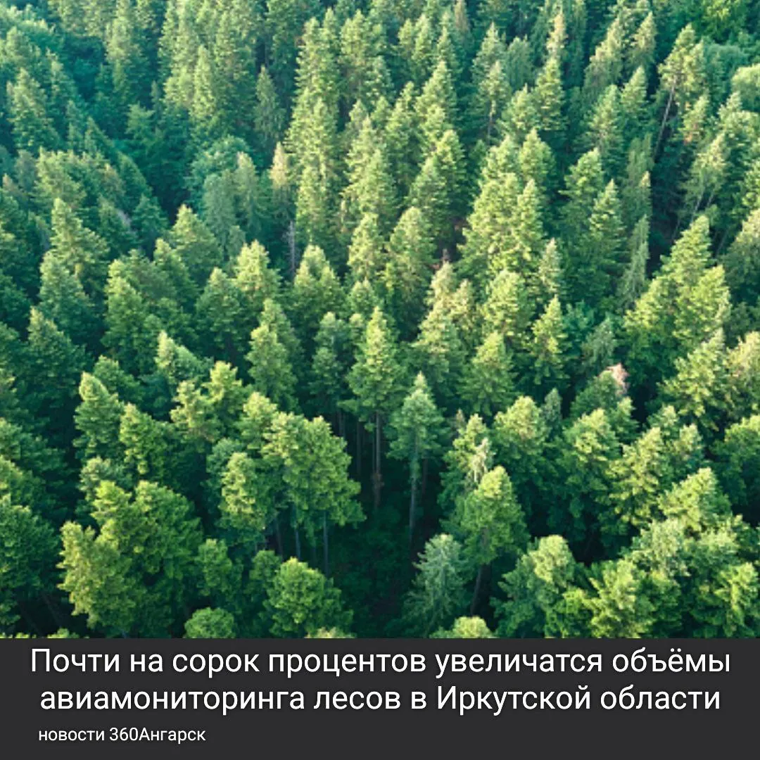 Почти на сорок процентов увеличатся объёмы авиамониторинга лесов в Иркутской области.