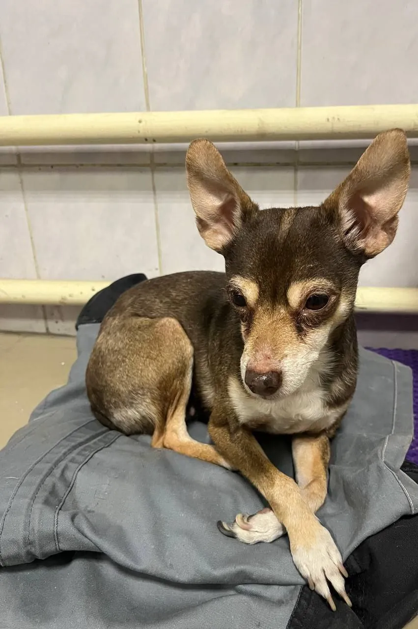 🔽 НАМ ПИШУТ 🔽