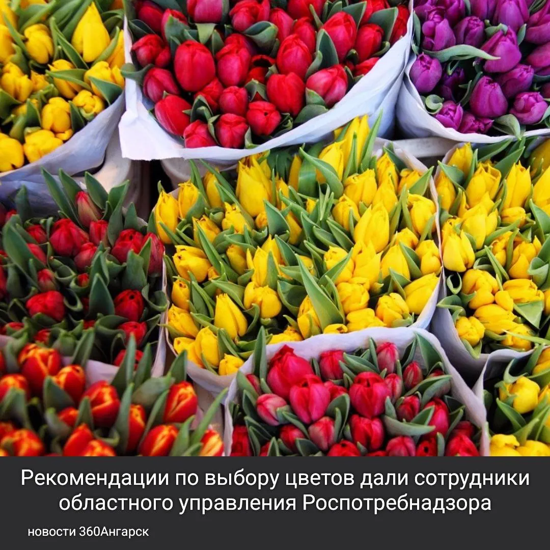 Рекомендации по выбору цветов дали сотрудники областного управления Роспотребнадзора.
