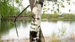 🎤🎶 «ГОЛОС АНГАРСКА» – вокальное соревнование от нашего телеканала.