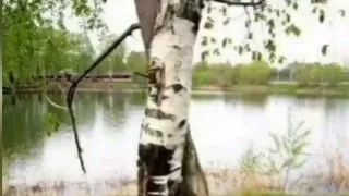 В социальных сетях нашего телеканала завершился вокальный конкурс «Голос Ангарска». В социальных сетях нашего телеканала завершился вокальный конкурс «Голос Ангарска».