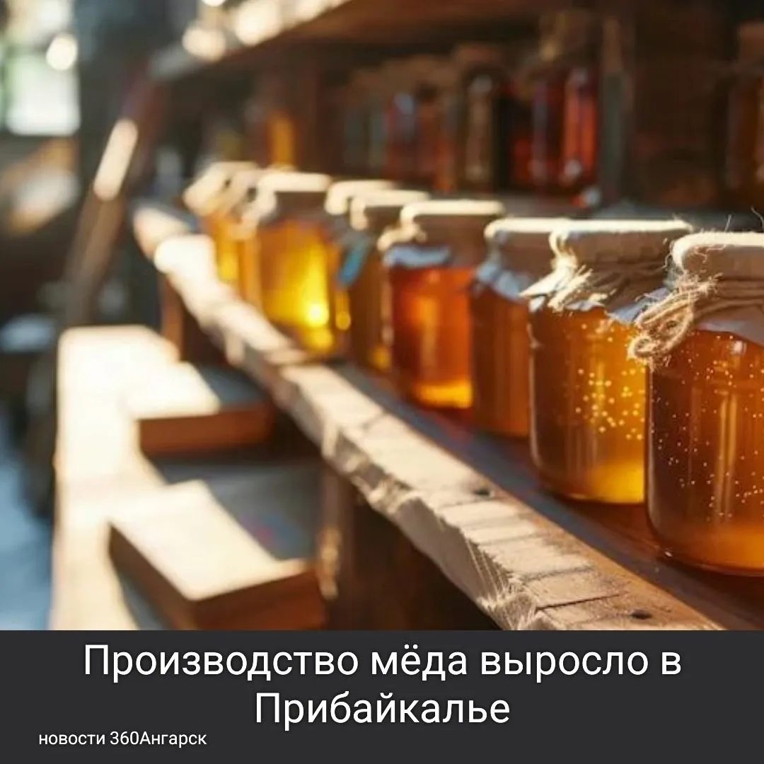 Производство мёда выросло в Прибайкалье.