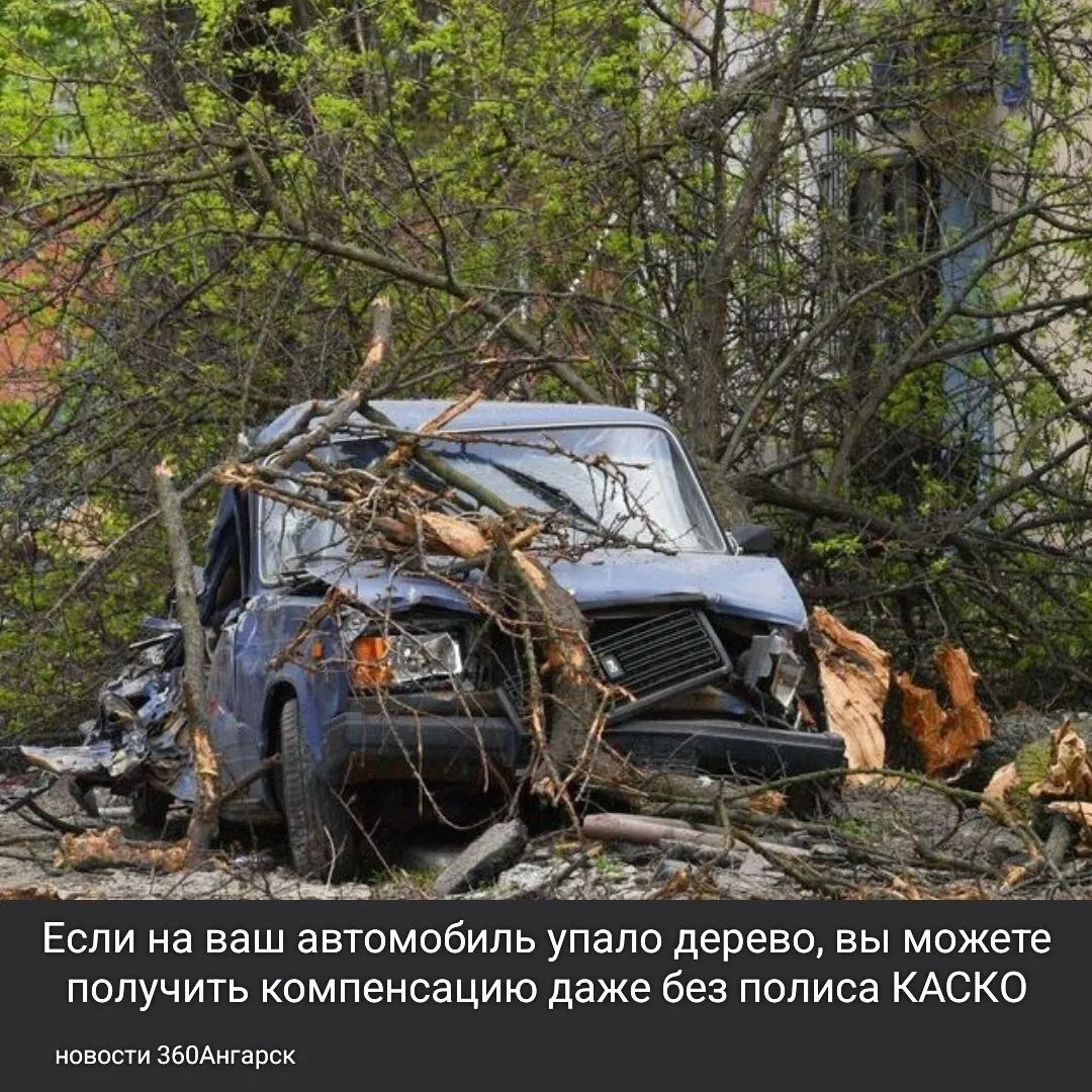 Если вы столкнулись с такой ситуацией, важно знать, что вы можете обратиться за возмещением убытков к коммунальным службам. Для этого вам нужно будет доказать, что в день инцидента скорость ветра не превышала 25 м/с. Это можно сделать, подав исковое заявление в суд.