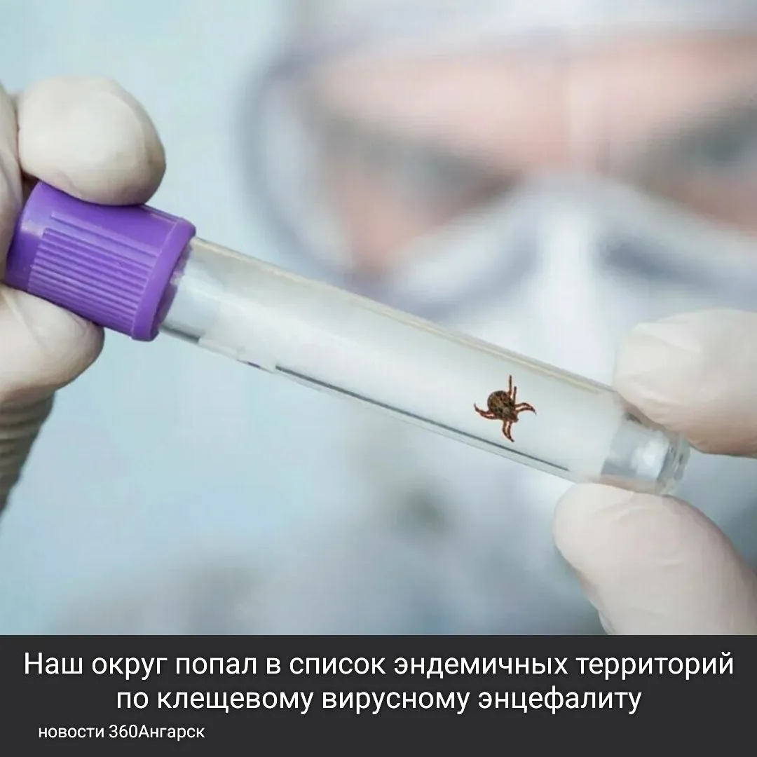 Наш округ попал в список эндемичных территорий по клещевому вирусному энцефалиту.