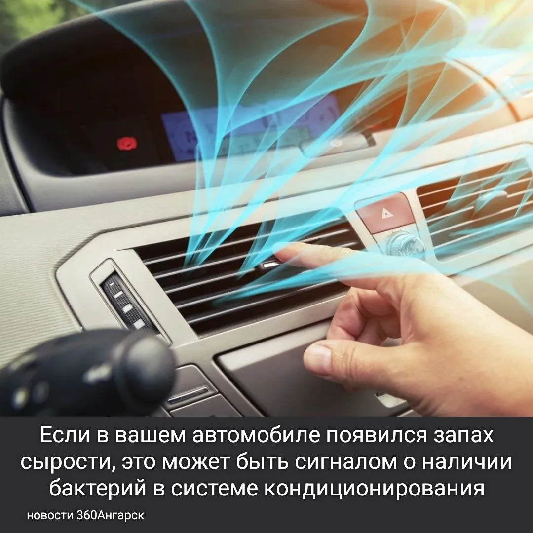 Если в вашем автомобиле появился запах сырости, это может быть сигналом о наличии бактерий в системе кондиционирования.