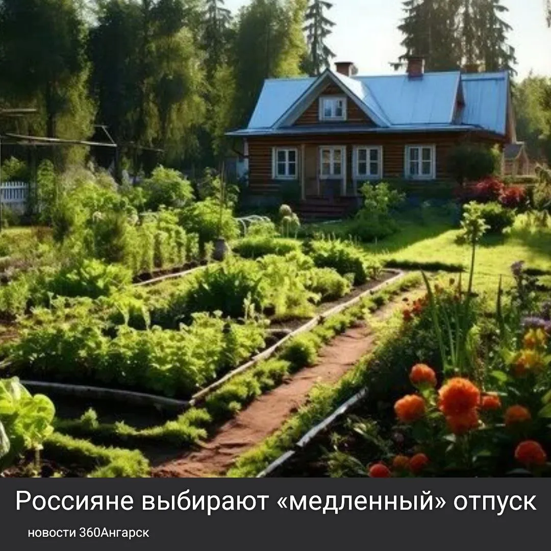 Согласно недавнему исследованию, всё больше россиян отказываются от поездок за границу и предпочитают проводить отпуск в спокойной обстановке. Около трети опрошенных заявили, что предпочитают отдых на даче, наслаждаясь природой и уединением.