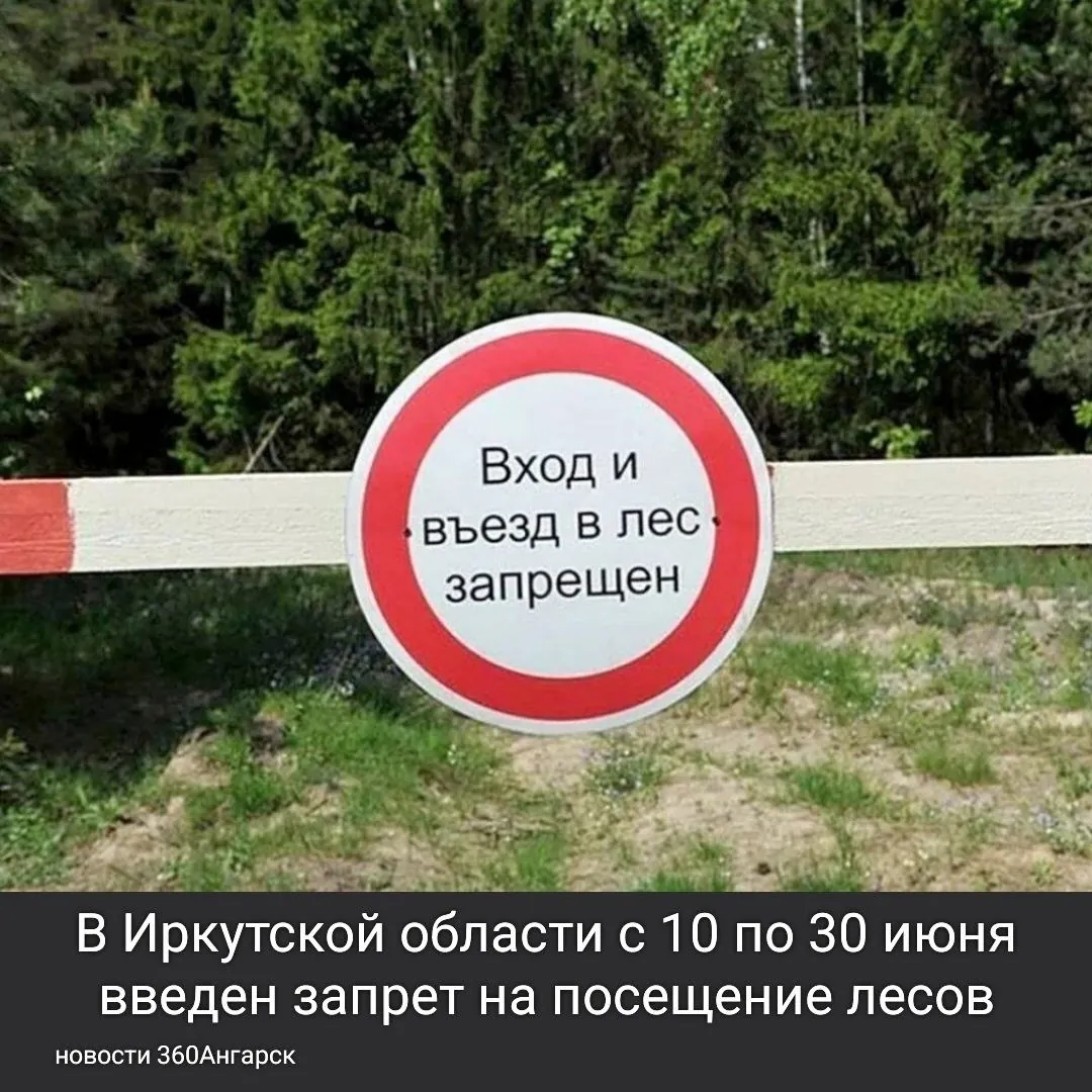 В Иркутской области с 10 по 30 июня введен запрет на посещение лесов. Это решение связано с жаркой и сухой погодой, а также введением особого противопожарного режима. Приказ подписал министр лесного комплекса региона.