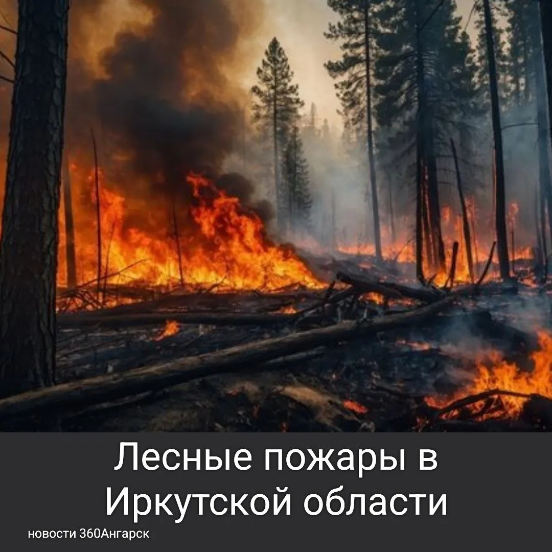 На прошлой неделе лесопожарные службы региона столкнулись с серьезными вызовами из-за сухой погоды и гроз. За семь дней произошло 94 пожара на площади 12 тысяч гектаров, но большинство очагов уже ликвидированы.