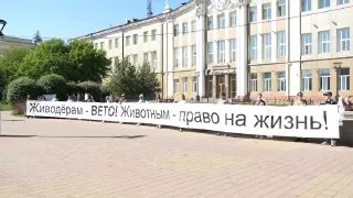 Зоозащитники Прибайкалья вышли на пикет на площади Труда в Иркутске.