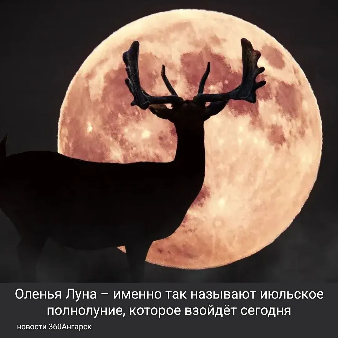 Оленья Луна – именно так называют июльское полнолуние –взойдёт в эту среду.