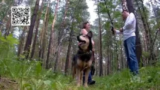Леса, ночные дороги и десятки километров пешком — для волонтёров поисково-спасательного отряда «ЛизаАлерт» это не туризм, а будни, от которых порой зависит человеческая жизнь.