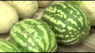 Стартовал традиционный сезон продажи арбузов из Дагестана, Астраханской и Тамбовской областей.