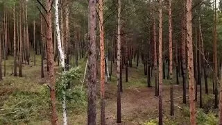 Свыше девятисот пятидесяти заявлений о пропаже людей подали с начала года жители Иркутской области.