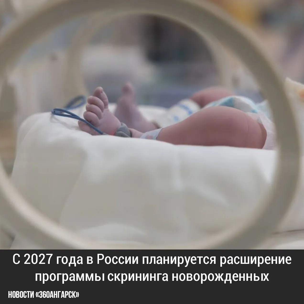 С 2027 года в России планируется расширение программы скрининга новорожденных. Теперь младенцев будут проверять на шесть дополнительных наследственных заболеваний, среди которых миодистрофия Дюшенна, болезнь Помпе, мукополисахаридоз I типа, болезнь Гоше, болезнь Ниманна — Пика типов А и В, а также б