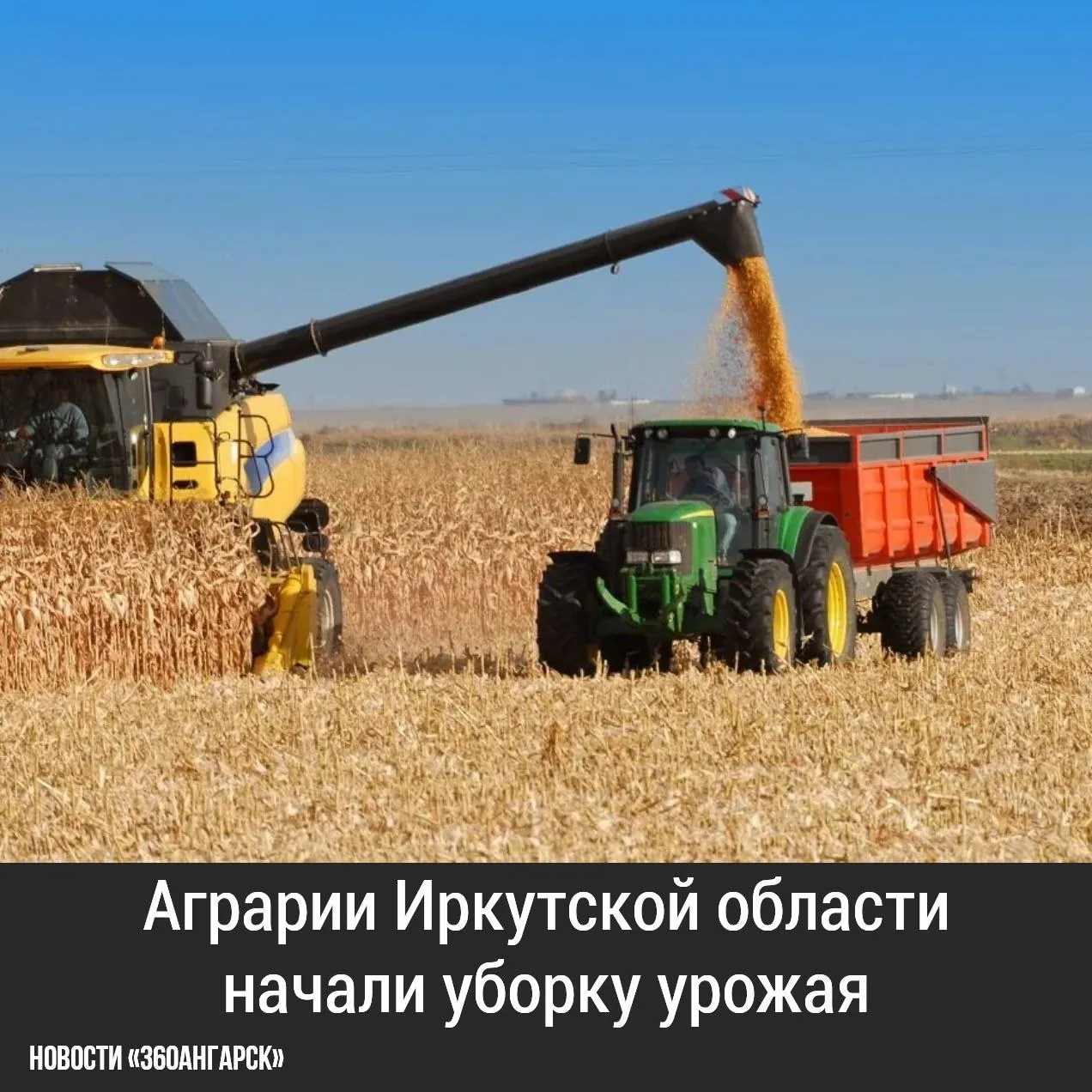 Аграрии Иркутской области начали уборку урожая. Первые работы стартовали в южных и центральных районах, где убирают ранние зерновые, зернобобовые, картофель и овощи.