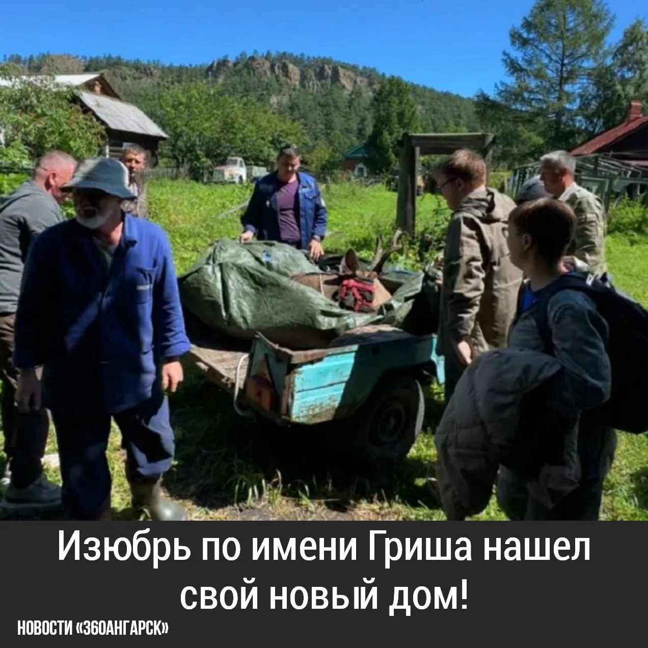 История его спасения началась 3 августа, когда туристы заметили его на Большой Байкальской тропе. Животное едва могло передвигаться, но не покидало людей, оставаясь вдали от леса, где ему угрожали хищники и стаи бродячих собак.