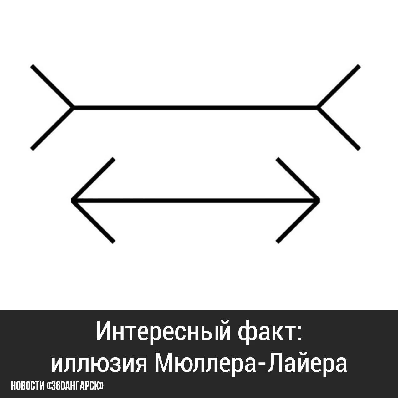 Интересный факт: иллюзия Мюллера-Лайера.
